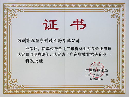 免漆板十大品牌松博宇 廣東省林業龍頭企業